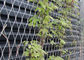 X Tend فولاد ضد زنگ سیم کشی شبکه سیم مش گیاه Trellis برای صعود گیاهان تامین کننده